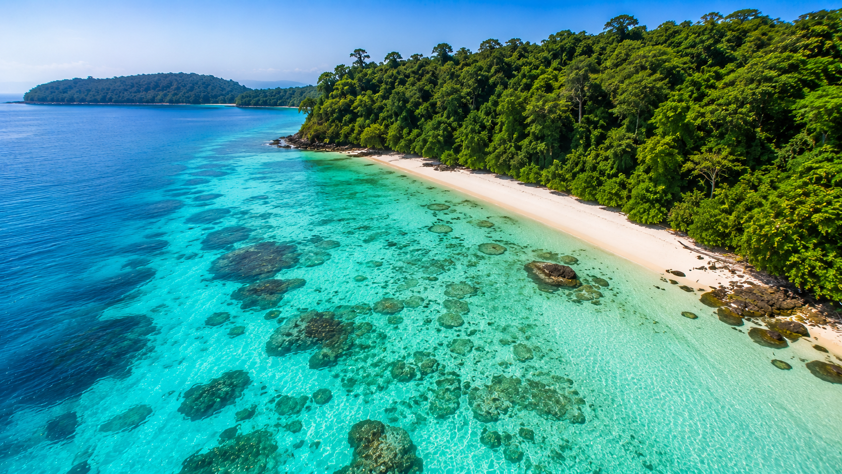 Elephant Beach
